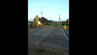 PNR Kiha 52 Trial Run passing thru IRRI College Laguna 102611 [upl. by Ettedo]