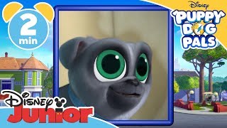 Puppy Dog Pals  Disney Junior Puzzle  Disney Junior UK [upl. by Anihsit355]