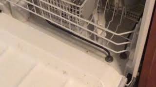 Hotpoint dishwasher how to start  guide [upl. by Nelly]