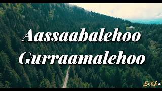 ALI BIRRAA KARAAN MANA ABBAA GADAA  Lyrics [upl. by Iz]