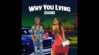 WHY YOU LYING FULL LYRICS VIDEO  OSHAMO sped up [upl. by Elbring698]