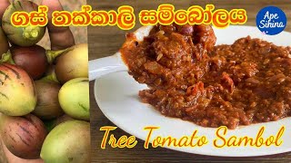 ගස් තක්කාලි සමිබෝලය  Tree Tomato Sambol  Tamarillo Recipes  Gas Thakkali Recipe  Tomato Recipes [upl. by Ellehcsar]