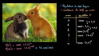 Croissance exponentielle et logistique des populations [upl. by Zildjian]