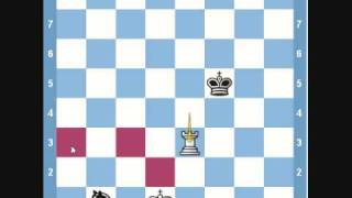 Chess Endgame Rook vs Knight [upl. by Hueston]