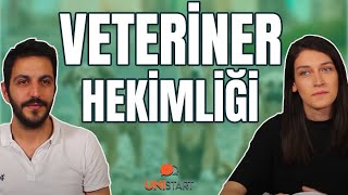 VETERİNER HEKİMLİK  13 Soruda Veteriner Fakültesi [upl. by Akilak164]