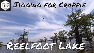 ReelFoot Lake Jigging for Crappie [upl. by Nohsauq]