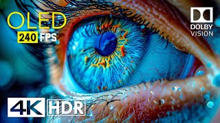 Mind Blowing OLED Dolby Vision  4K HDR 240 fps [upl. by Suidualc346]