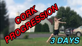 CORK PROGRESSION  3 DAYS Corkscrew Flip [upl. by Yllier]