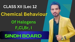 Behavior of Halogens Class 12 lec12 [upl. by Taran31]