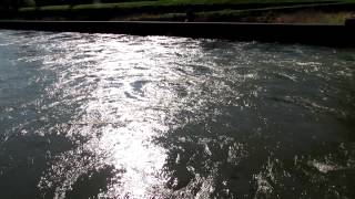 Current through the Cascade Locks along the Columbia River [upl. by Mendelsohn]