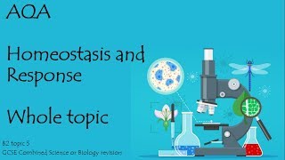 The whole of AQA HOMEOSTASIS and RESPONSE 91 GCSE biology or combined science revision for paper 2 [upl. by Lonne]