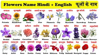 Flowers Name in English And Hindi With PDF  फूलों के नाम  flowers with pictures [upl. by Prosper]