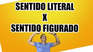 SENTIDO LITERAL X SENTIDO FIGURADO [upl. by Annauj]