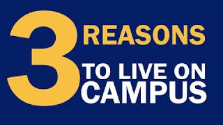 3 Reason to Live On Campus  Webster University [upl. by Amby499]