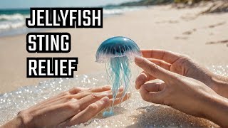 I Tried Every Jellyfish amp Bluebottle Sting Treatment [upl. by Ardekahs]