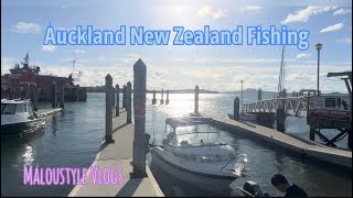 Auckland New Zealand Fishing [upl. by Onaivlis]