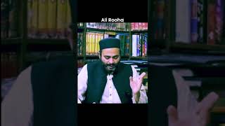 Quran Pak se Daleel Khutbatul Bayan bayan ahlaibait youtubeshorts education ytshorts [upl. by Susumu324]