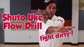 Shuto Uke Flow Drill [upl. by Holleran434]