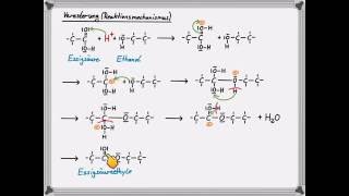 Veresterung Reaktionsmechanismus [upl. by Anigroeg]