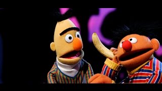 Waarom Waarom Liedje Bert amp Ernie  Sesamstraat [upl. by Olegnaleahcim]