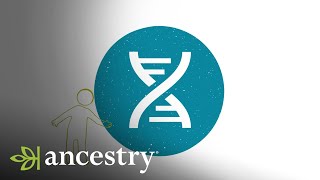 AncestryDNA  Learn more about AncestryDNAs Matches  Ancestry [upl. by Fezoj]