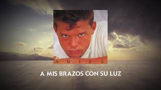 Luis Miguel  Me Niego A Estar Solo Video Con Letra [upl. by Boor772]