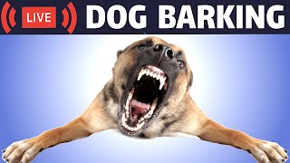 Dog Barking Sound  Dogs Barking Live Bark [upl. by Cyrus]