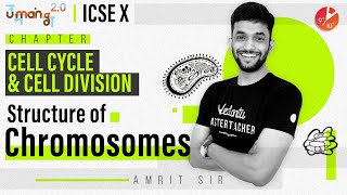 Cell Cycle and Cell Division  Structure of Chromosomes  ICSE Class 10 Biology Umang  Vedantu [upl. by Wiskind]