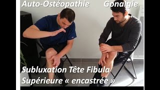 Traitement douleur genou par subluxation tête fibula péroné superieure autoostéopathie [upl. by Deva803]