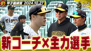 【新コーチ指導】今日も甲子園で体動かす藤川阪神。新コーチも精力的に指導！主力選手も笑顔で汗流してます！阪神タイガース密着！応援番組「虎バン」ABCテレビ公式チャンネル [upl. by Reisinger]