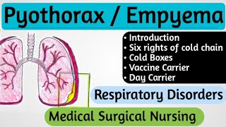 Pleural Empyema  Pyothorax In Hindi  Respiratory Disorders In Medical Surgical Nursing [upl. by Nasya]