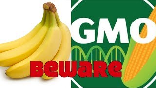 Are You Eating Dangerous GMO Bananas [upl. by Iad]