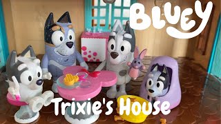 Bluey  Muffin and Socks Silliness  Aunt Trixie and Uncle Stripes chase Socks  Bob Bilby Surprise [upl. by Adnesor]