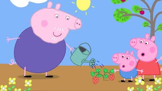 Peppa Pig in Hindi  Gaardaning  हिंदी Kahaniya  Hindi Cartoons for Kids [upl. by Gee]