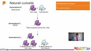 B6 Ereditarietà ed evoluzione  La genetica classica [upl. by Assiron]