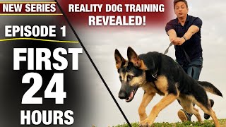 First 24 Hours with a TOTALLY UNTRAINED DOG NEW SERIES Reality Dog Training Episode 1 [upl. by Morrell819]