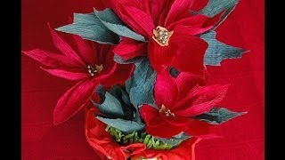 Kwiaty z bibuły Poinsecja Poinsettia DIY [upl. by Ielerol]