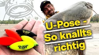 Die beste Welsmontage  Micro UPosen beim Wallerangeln  Wichtige Tipps für Euren Erfolg [upl. by Aihcrop]