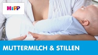 HebammenTipps Stillen Milchstau HiPP Ratgeber [upl. by Eimmot]