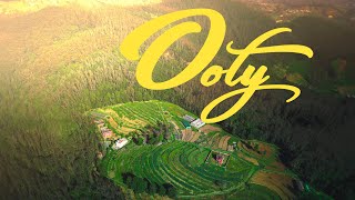 Ooty  Drone shots  Tamil Nadu Tourism [upl. by Francisco]