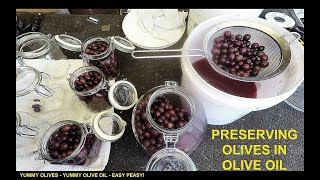 Preserving Olives in Oil  Prepping for SHTF [upl. by Anrat466]