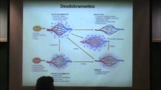 Inflamação  Mecanismos Efetores e Morfologia [upl. by Sivra]