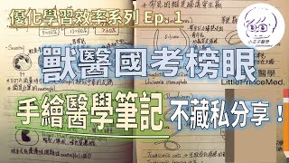 【優化學習 Ep 1】獸醫師國考榜眼的手繪醫學筆記，高效率不藏私分享！ [upl. by Melantha805]