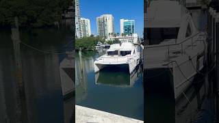 Luxury Catamaran Yacht in Florida yacht florida [upl. by Kinimod]