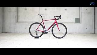 Trek Emonda SL 6 Rage RedOnyx Carbon 2019  Trek Rennrad 2019 [upl. by Reffineg]