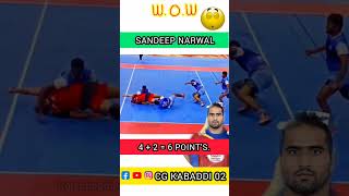 😱6 Points Raid by sandeep Narwal🔥✌️ kabaddi kabaddilive prokabaddi youtubeshorts india [upl. by Ahsienak753]