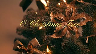 O Christmas Tree  Christmas Song [upl. by Eseuqcaj]