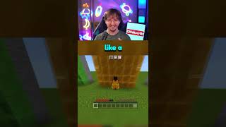 Which Minecraft Blocks STOP the Elytra From Taking Damage [upl. by Derby]