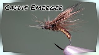 Tying a Caddis Emerger dry fly patternTorill Kolbu woven body and tilt wing style [upl. by Ursulina208]