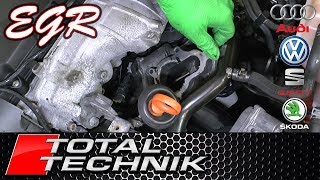 How to Test EGR Valve using VCDS  Audi VW Seat Skoda ALL MODELS  TOTAL TECHNIK [upl. by Alamat]